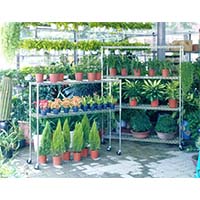 花草植物種植儲(chǔ)物架，立體種植貨架，園藝盆栽置物架（2）